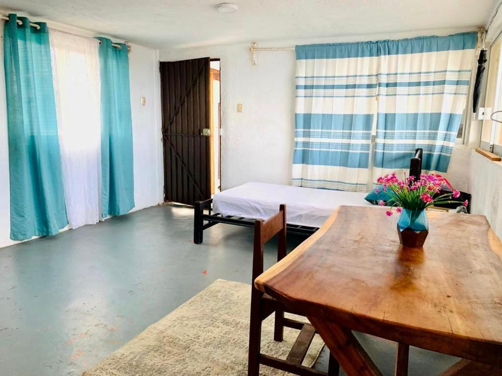 Playa Amor - Private Villa & Best Views زيبوليت المظهر الخارجي الصورة