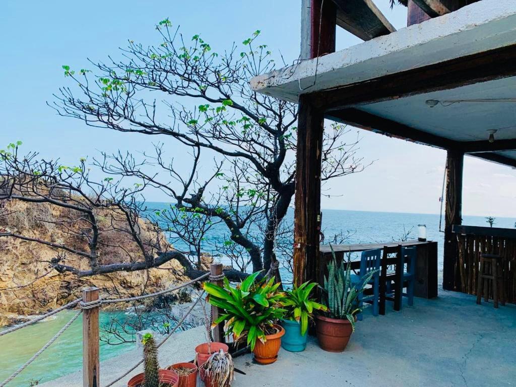 Playa Amor - Private Villa & Best Views زيبوليت المظهر الخارجي الصورة